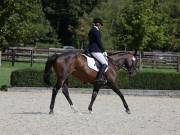 Image 230 in OPTIMUM EVENT MANAGEMENT. DRESSAGE. EASTON PARK STUD. 25TH AUGUST 2018