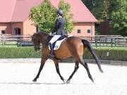 Image 241 in OPTIMUM EVENT MANAGEMENT. DRESSAGE. EASTON PARK STUD. 25TH AUGUST 2018