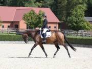 Image 246 in OPTIMUM EVENT MANAGEMENT. DRESSAGE. EASTON PARK STUD. 25TH AUGUST 2018