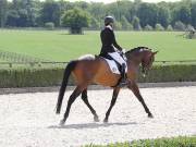 Image 283 in OPTIMUM EVENT MANAGEMENT. DRESSAGE. EASTON PARK STUD. 25TH AUGUST 2018