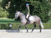 Image 29 in OPTIMUM EVENT MANAGEMENT. DRESSAGE. EASTON PARK STUD. 25TH AUGUST 2018