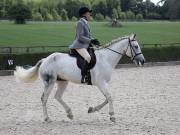 Image 296 in OPTIMUM EVENT MANAGEMENT. DRESSAGE. EASTON PARK STUD. 25TH AUGUST 2018