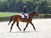 Image 303 in OPTIMUM EVENT MANAGEMENT. DRESSAGE. EASTON PARK STUD. 25TH AUGUST 2018