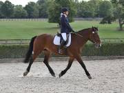 Image 307 in OPTIMUM EVENT MANAGEMENT. DRESSAGE. EASTON PARK STUD. 25TH AUGUST 2018