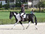 Image 31 in OPTIMUM EVENT MANAGEMENT. DRESSAGE. EASTON PARK STUD. 25TH AUGUST 2018