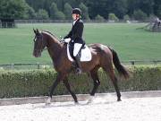 Image 321 in OPTIMUM EVENT MANAGEMENT. DRESSAGE. EASTON PARK STUD. 25TH AUGUST 2018