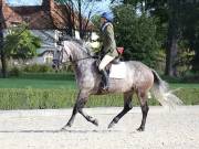 Image 33 in OPTIMUM EVENT MANAGEMENT. DRESSAGE. EASTON PARK STUD. 25TH AUGUST 2018