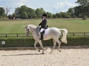 Image 337 in OPTIMUM EVENT MANAGEMENT. DRESSAGE. EASTON PARK STUD. 25TH AUGUST 2018