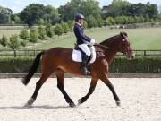 Image 343 in OPTIMUM EVENT MANAGEMENT. DRESSAGE. EASTON PARK STUD. 25TH AUGUST 2018