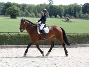 Image 348 in OPTIMUM EVENT MANAGEMENT. DRESSAGE. EASTON PARK STUD. 25TH AUGUST 2018