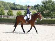 Image 349 in OPTIMUM EVENT MANAGEMENT. DRESSAGE. EASTON PARK STUD. 25TH AUGUST 2018