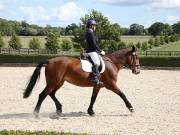 Image 351 in OPTIMUM EVENT MANAGEMENT. DRESSAGE. EASTON PARK STUD. 25TH AUGUST 2018