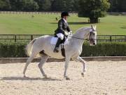 Image 353 in OPTIMUM EVENT MANAGEMENT. DRESSAGE. EASTON PARK STUD. 25TH AUGUST 2018