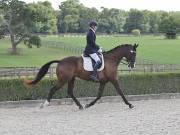 Image 360 in OPTIMUM EVENT MANAGEMENT. DRESSAGE. EASTON PARK STUD. 25TH AUGUST 2018