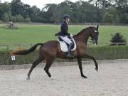 Image 365 in OPTIMUM EVENT MANAGEMENT. DRESSAGE. EASTON PARK STUD. 25TH AUGUST 2018