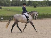 Image 369 in OPTIMUM EVENT MANAGEMENT. DRESSAGE. EASTON PARK STUD. 25TH AUGUST 2018