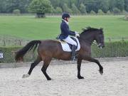 Image 378 in OPTIMUM EVENT MANAGEMENT. DRESSAGE. EASTON PARK STUD. 25TH AUGUST 2018