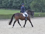 Image 379 in OPTIMUM EVENT MANAGEMENT. DRESSAGE. EASTON PARK STUD. 25TH AUGUST 2018