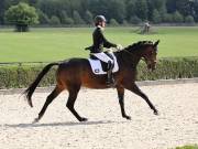 Image 388 in OPTIMUM EVENT MANAGEMENT. DRESSAGE. EASTON PARK STUD. 25TH AUGUST 2018