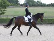 Image 390 in OPTIMUM EVENT MANAGEMENT. DRESSAGE. EASTON PARK STUD. 25TH AUGUST 2018