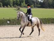 Image 410 in OPTIMUM EVENT MANAGEMENT. DRESSAGE. EASTON PARK STUD. 25TH AUGUST 2018