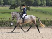 Image 411 in OPTIMUM EVENT MANAGEMENT. DRESSAGE. EASTON PARK STUD. 25TH AUGUST 2018