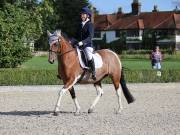 Image 42 in OPTIMUM EVENT MANAGEMENT. DRESSAGE. EASTON PARK STUD. 25TH AUGUST 2018