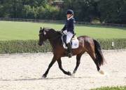 Image 421 in OPTIMUM EVENT MANAGEMENT. DRESSAGE. EASTON PARK STUD. 25TH AUGUST 2018