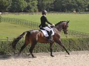 Image 438 in OPTIMUM EVENT MANAGEMENT. DRESSAGE. EASTON PARK STUD. 25TH AUGUST 2018