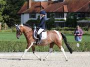 Image 44 in OPTIMUM EVENT MANAGEMENT. DRESSAGE. EASTON PARK STUD. 25TH AUGUST 2018