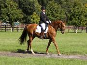 Image 440 in OPTIMUM EVENT MANAGEMENT. DRESSAGE. EASTON PARK STUD. 25TH AUGUST 2018