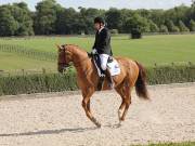 Image 452 in OPTIMUM EVENT MANAGEMENT. DRESSAGE. EASTON PARK STUD. 25TH AUGUST 2018