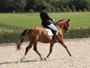 Image 454 in OPTIMUM EVENT MANAGEMENT. DRESSAGE. EASTON PARK STUD. 25TH AUGUST 2018