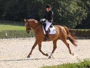 Image 455 in OPTIMUM EVENT MANAGEMENT. DRESSAGE. EASTON PARK STUD. 25TH AUGUST 2018