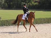 Image 462 in OPTIMUM EVENT MANAGEMENT. DRESSAGE. EASTON PARK STUD. 25TH AUGUST 2018