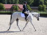 Image 56 in OPTIMUM EVENT MANAGEMENT. DRESSAGE. EASTON PARK STUD. 25TH AUGUST 2018