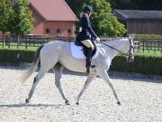 Image 57 in OPTIMUM EVENT MANAGEMENT. DRESSAGE. EASTON PARK STUD. 25TH AUGUST 2018