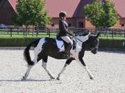Image 69 in OPTIMUM EVENT MANAGEMENT. DRESSAGE. EASTON PARK STUD. 25TH AUGUST 2018