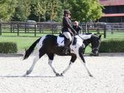 Image 75 in OPTIMUM EVENT MANAGEMENT. DRESSAGE. EASTON PARK STUD. 25TH AUGUST 2018