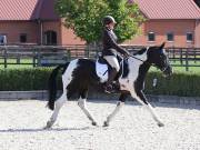 Image 79 in OPTIMUM EVENT MANAGEMENT. DRESSAGE. EASTON PARK STUD. 25TH AUGUST 2018