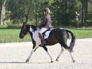 Image 8 in OPTIMUM EVENT MANAGEMENT. DRESSAGE. EASTON PARK STUD. 25TH AUGUST 2018