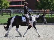 Image 80 in OPTIMUM EVENT MANAGEMENT. DRESSAGE. EASTON PARK STUD. 25TH AUGUST 2018