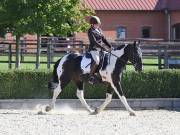 Image 81 in OPTIMUM EVENT MANAGEMENT. DRESSAGE. EASTON PARK STUD. 25TH AUGUST 2018