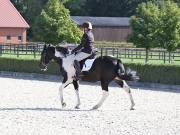 Image 82 in OPTIMUM EVENT MANAGEMENT. DRESSAGE. EASTON PARK STUD. 25TH AUGUST 2018