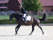 Image 84 in OPTIMUM EVENT MANAGEMENT. DRESSAGE. EASTON PARK STUD. 25TH AUGUST 2018