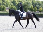 Image 85 in OPTIMUM EVENT MANAGEMENT. DRESSAGE. EASTON PARK STUD. 25TH AUGUST 2018