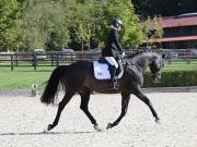 Image 86 in OPTIMUM EVENT MANAGEMENT. DRESSAGE. EASTON PARK STUD. 25TH AUGUST 2018