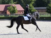 Image 88 in OPTIMUM EVENT MANAGEMENT. DRESSAGE. EASTON PARK STUD. 25TH AUGUST 2018