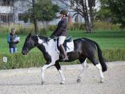 Image 9 in OPTIMUM EVENT MANAGEMENT. DRESSAGE. EASTON PARK STUD. 25TH AUGUST 2018