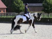 Image 97 in OPTIMUM EVENT MANAGEMENT. DRESSAGE. EASTON PARK STUD. 25TH AUGUST 2018